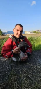 Pui de lebădă salvat de pompierii orădeni-06 FOTO: ISU Crișana