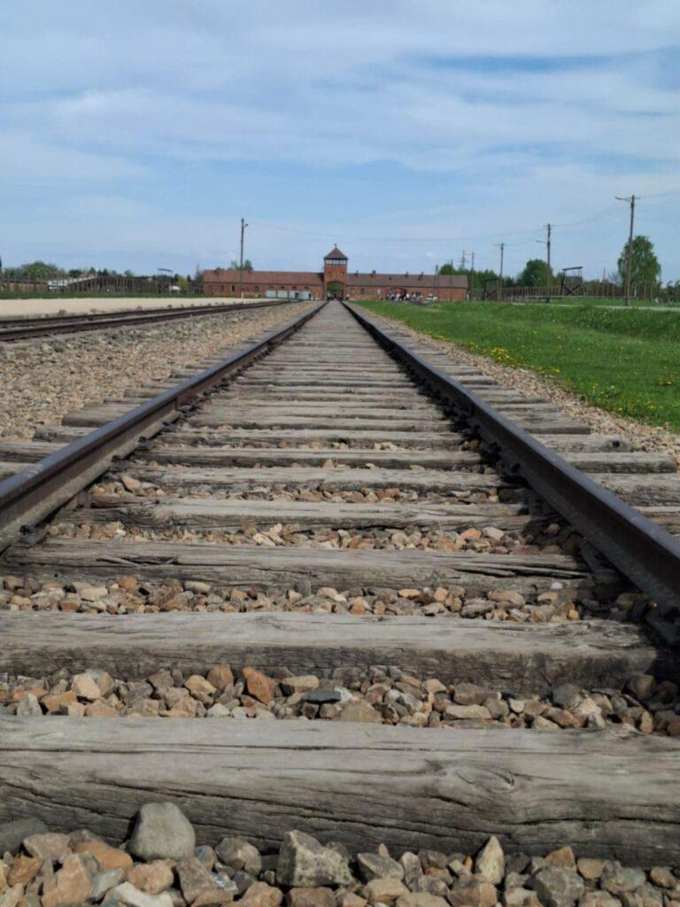 „Trăiește Istoria!”, un nou proiect european dedicat educației despre Holocaust