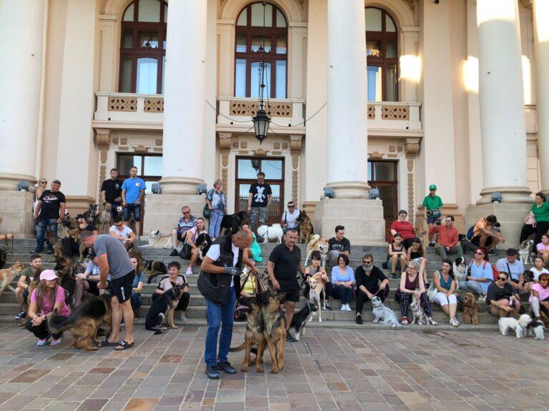 Parada câinilor a animat centrul Oradiei. Peste 50 de patrupezi, la festivalul „One Big Jump”