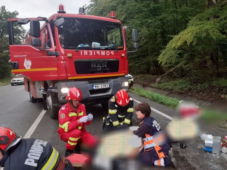 Polițiștii au stabilit cum s-a produs accidentul rutier din Dealul Bitii, în care două persoane au murit