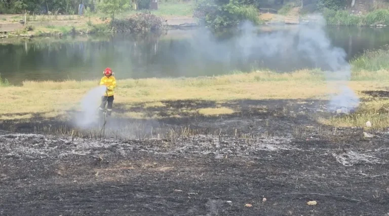 Incendii în mai multe localități din Bihor