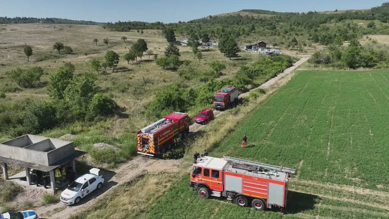 Lugașul de Sus, cuprins de flăcări. Peste 22 de hectare arse și 500 de pomi fructiferi distruși – focul a fost pus intenționat