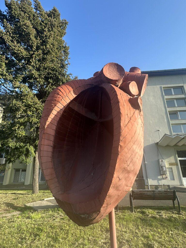 Stocurile de sânge din Oradea, pe roșu. Donatorii cu O negativ și B negativ sunt așteptați urgent