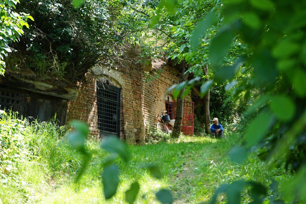 Foto. AMD Bihor