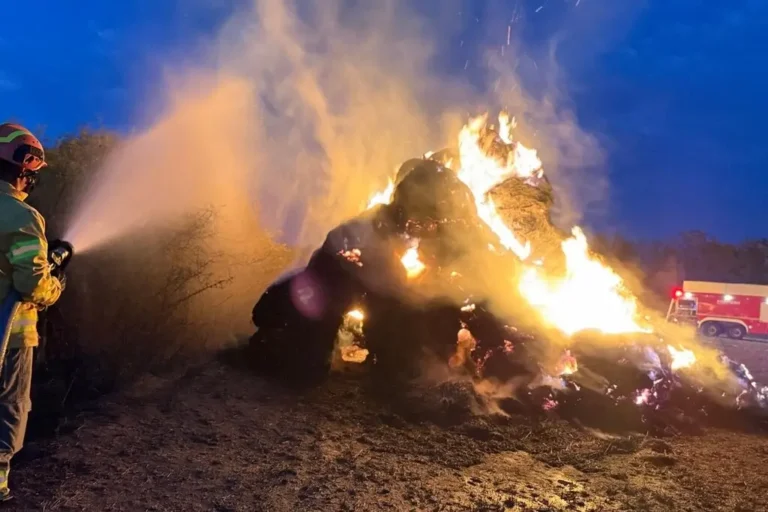 Peste 7 ore de luptă cu flăcările, în Gepiu