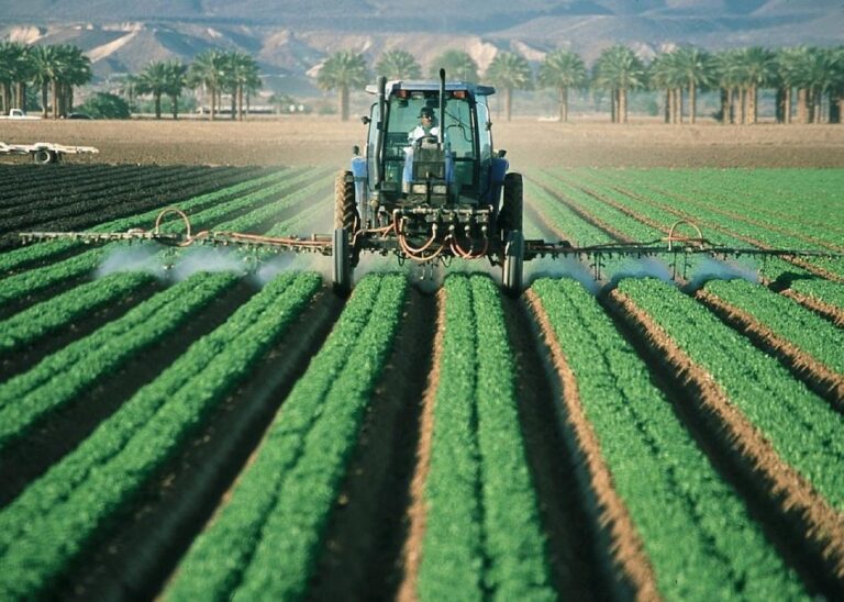 Concurs internațional de artă fotografică – Tradiții și modernitate în agricultura din România