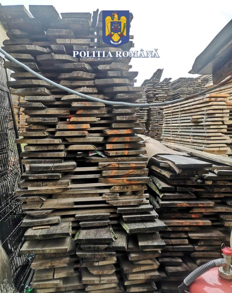 Dosar penal pentru un prejudiciu de peste 54.000 de lei, după un control silvic în Bihor