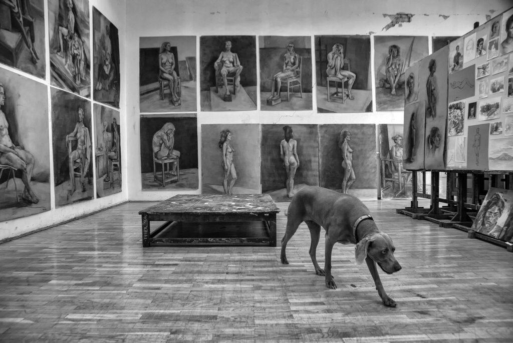 Foto: Fotoklub Zagreb