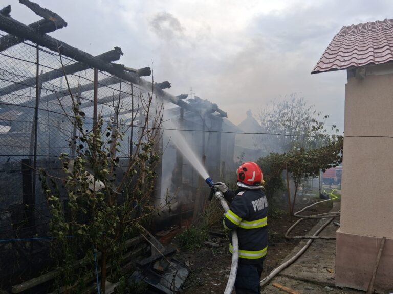 Incendiu la Săcueni. Pompierii bihoreni au salvat două case