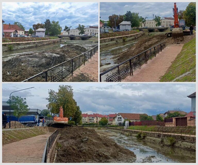 ABA Crișuri curăță albia Văii Nimăiești pentru a preveni inundațiile în Beiuș (Foto)