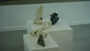 Oradea a deschis NOCA – primul centru dedicat artei contemporane din oraș-01