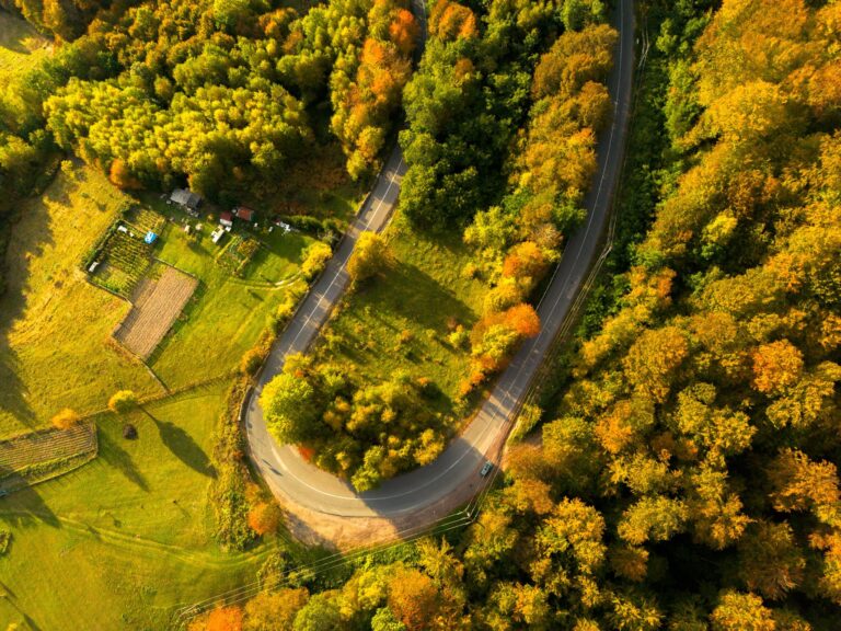 Bihorul iese în lume. 6 milioane de lei pe an pentru turiști din Europa. Influenceri și jurnaliști străini vor veni să descopere județul