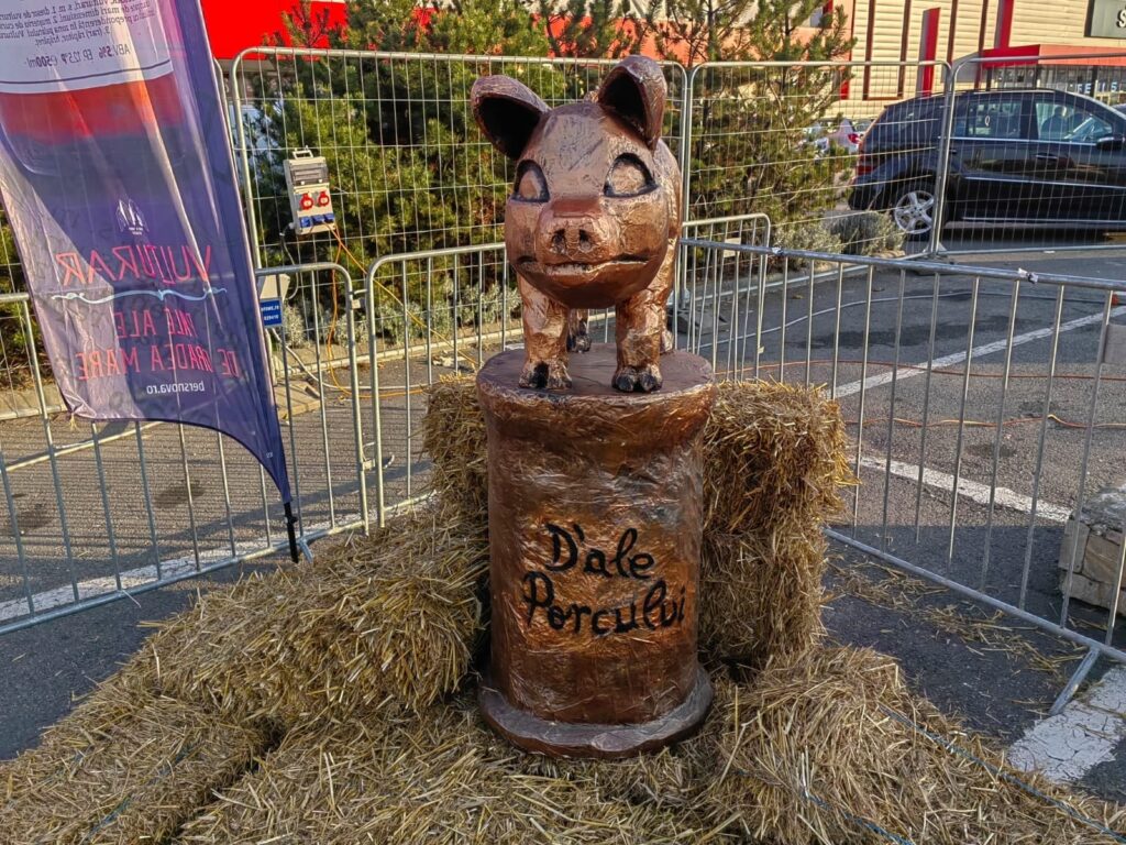 Foto: Festivalul-Concurs „D'ale Porcului”