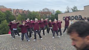 oradea festi fall (6)