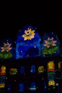 video mapping palatul vulturul negru