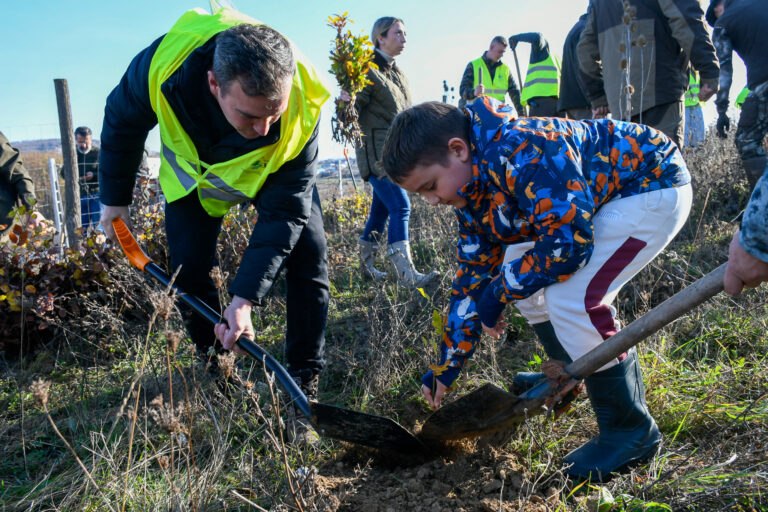 Peste 5000 de puieți au fost plantați în Bihor