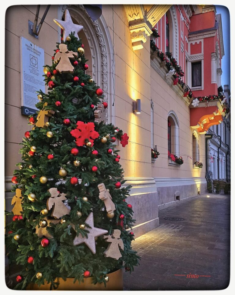 Clădirile emblematice din Oradea îmbracă straie de sărbătoare