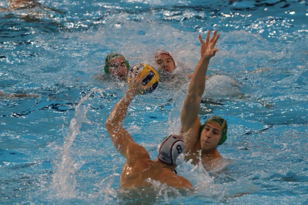 Foto: Narcis Alexandru Covaci