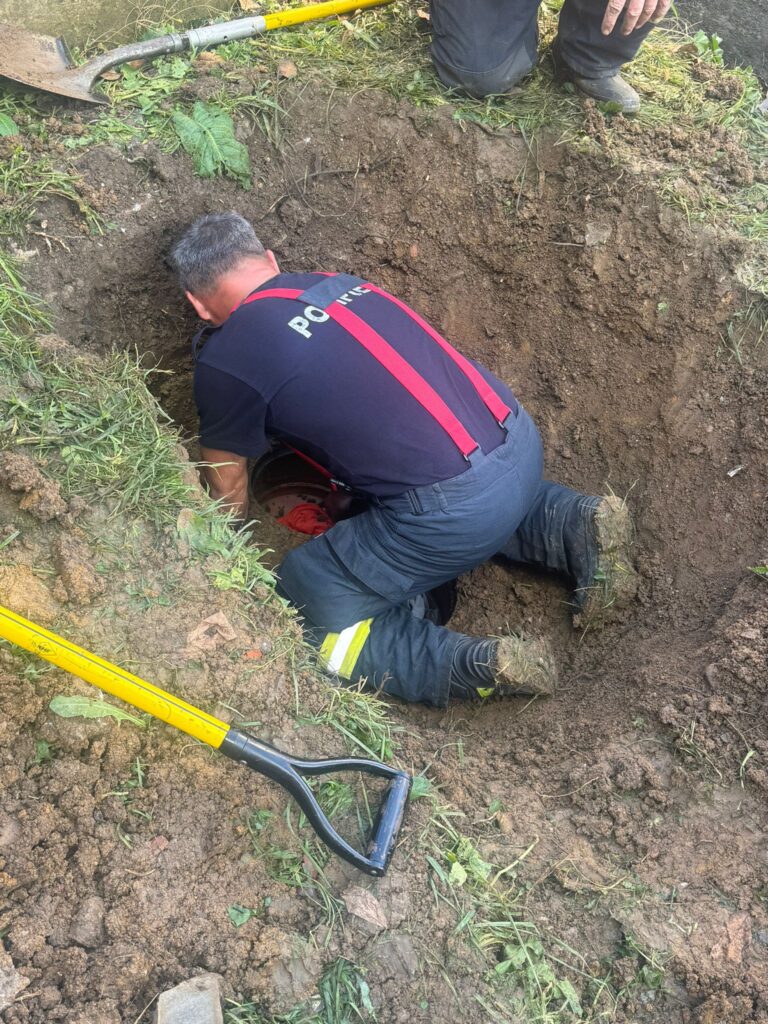 Doi pui de câine, salvați de pompierii beiușeni dintr-o rețea de canalizare