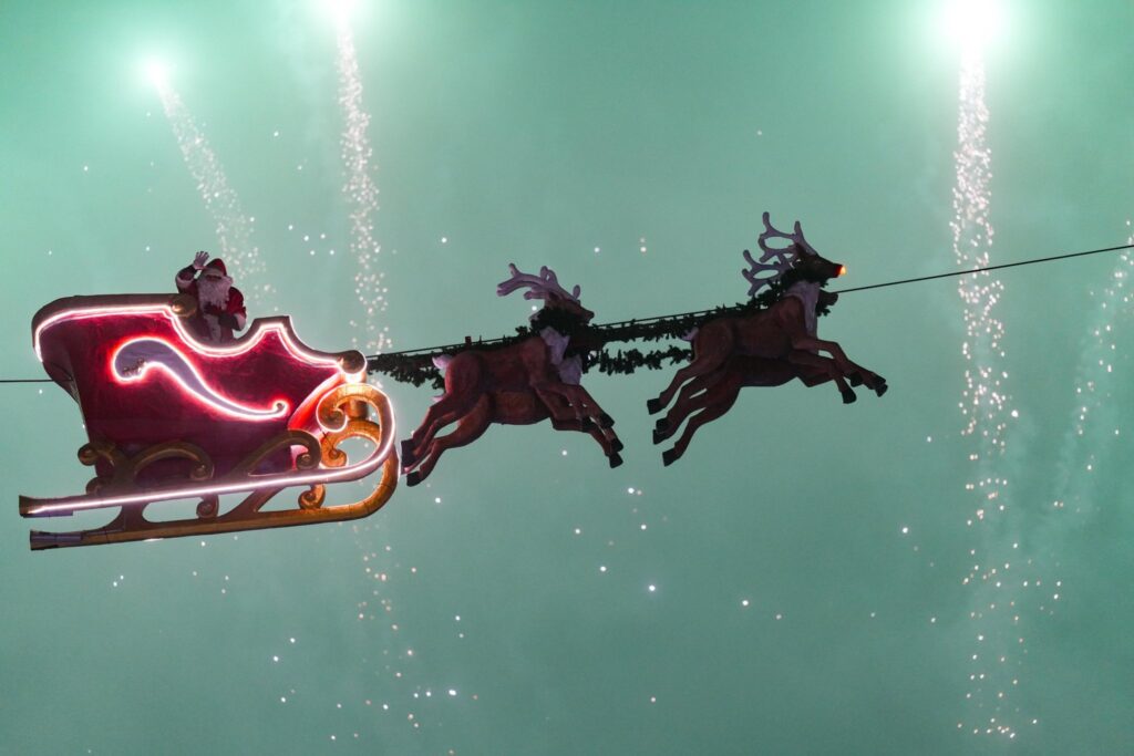 Foto: Facebook Lia Olguța Vasilescu