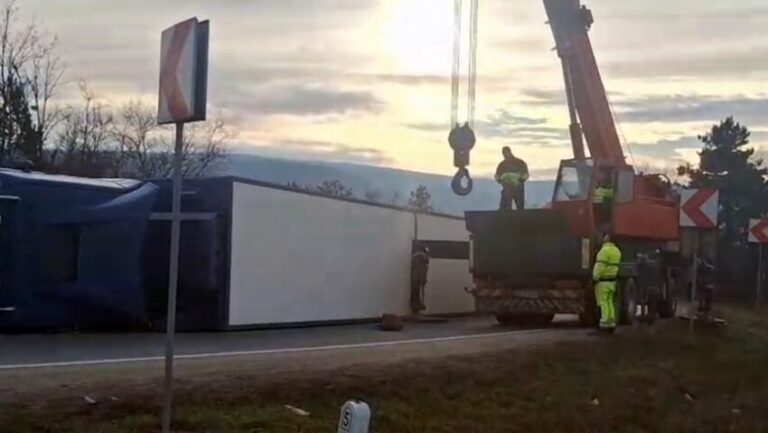 Un TIR, care transporta 200 de porci vii, s-a răsturnat într-o curbă periculoasă