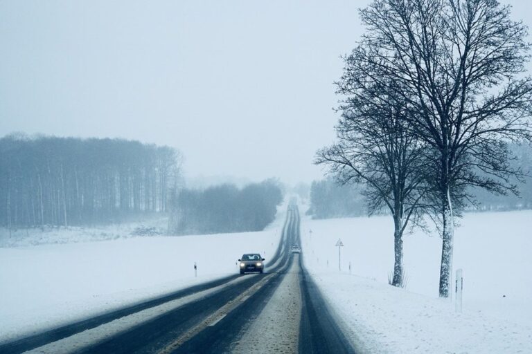 Iarna lovește România. Vânt puternic, viscol și alerte meteo în aproape toată țara