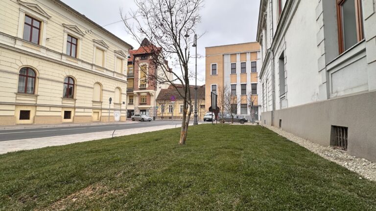 Investiții verzi în Oradea. Spații verzi noi, pe Andrei Șaguna și în Cantemir – zona Cicero