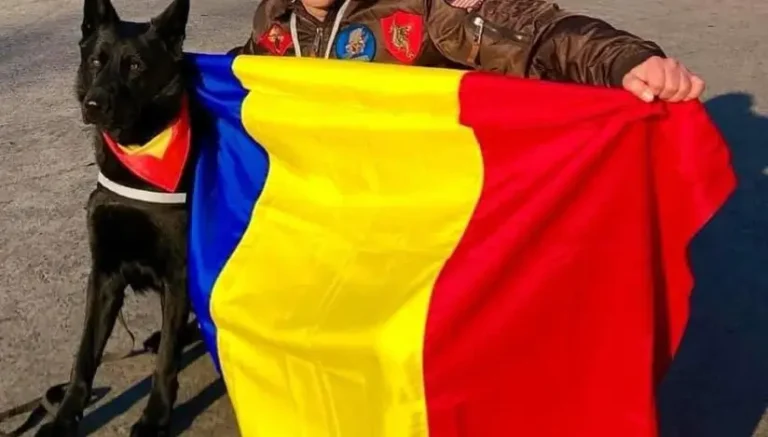 A murit Șuier, legendarul câine-polițist de la Antidrog