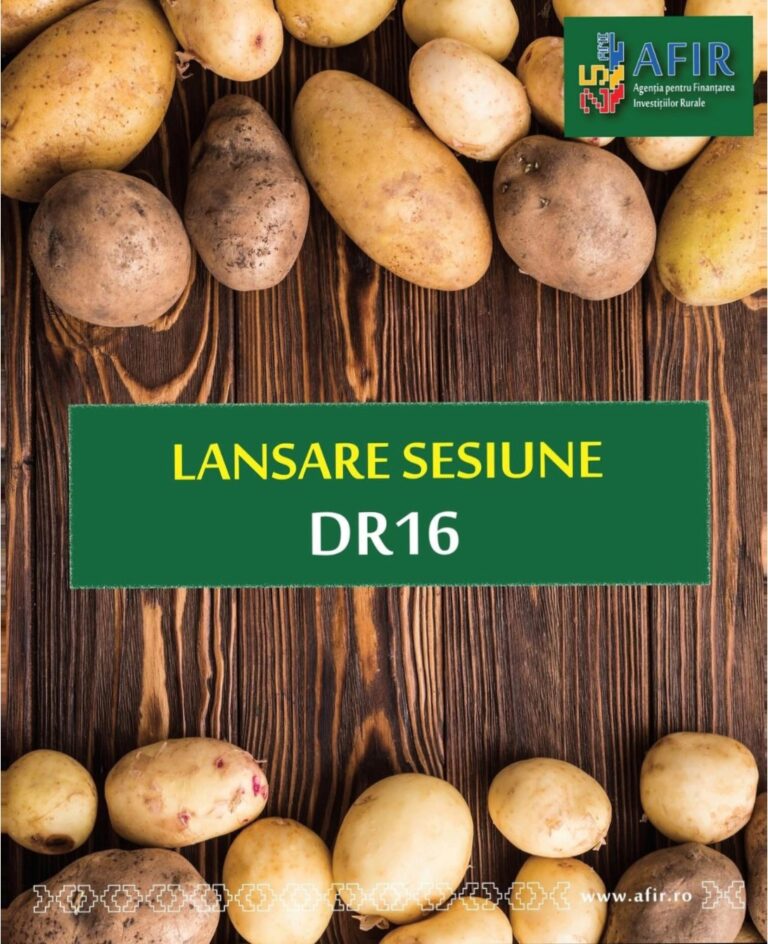 Bani europeni pentru legumicultorii și cultivatorii de cartofi din Bihor. AFIR a deschis o nouă sesiune de finanțare