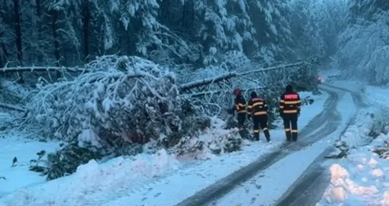 Intervenții ISU Bihor în zona montană, ca urmare a Codului Portocaliu de Ninsori