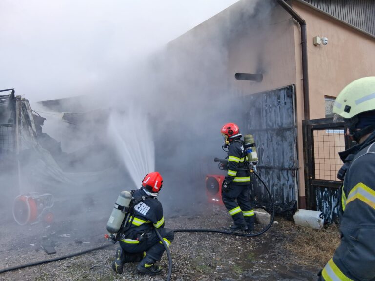 Incendiu puternic în Borș. O autoutilitară și lemne distruse