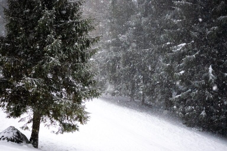 Ninsori consistente la munte, care vor crește stratul de zăpadă, cu risc de producere al avalanșelor (meteorologi)
