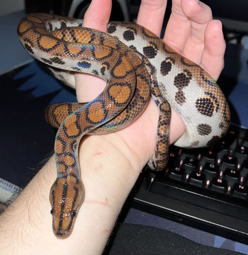 Foto: Garda de Mediu Bihor