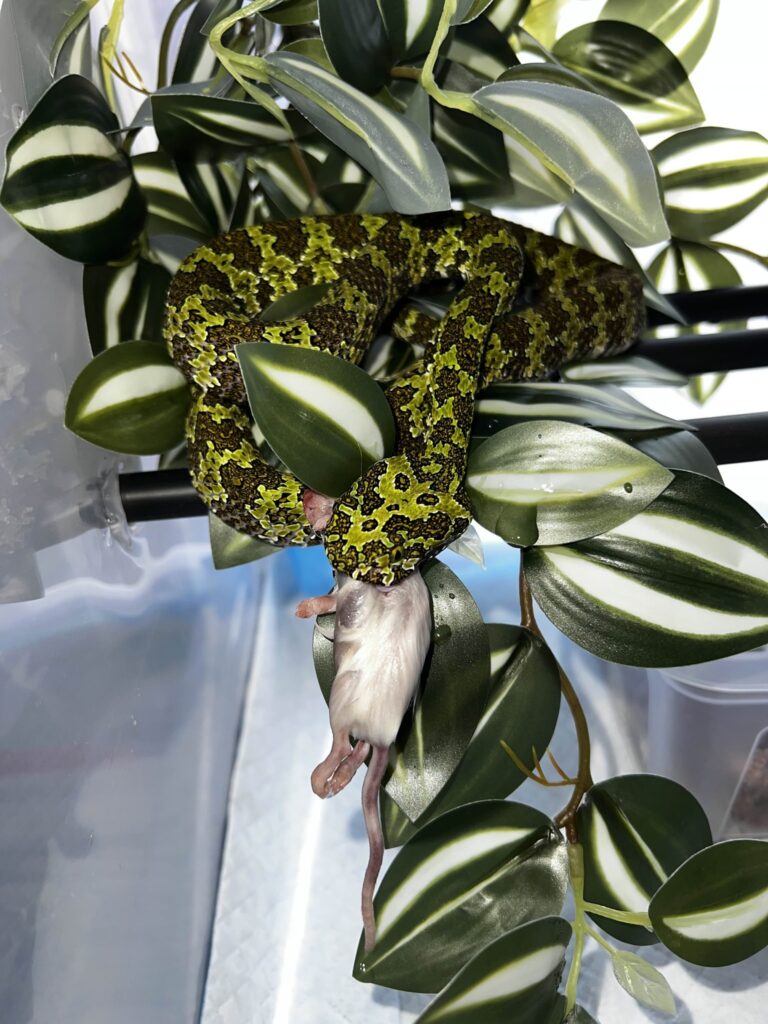 Foto: Garda de Mediu Bihor