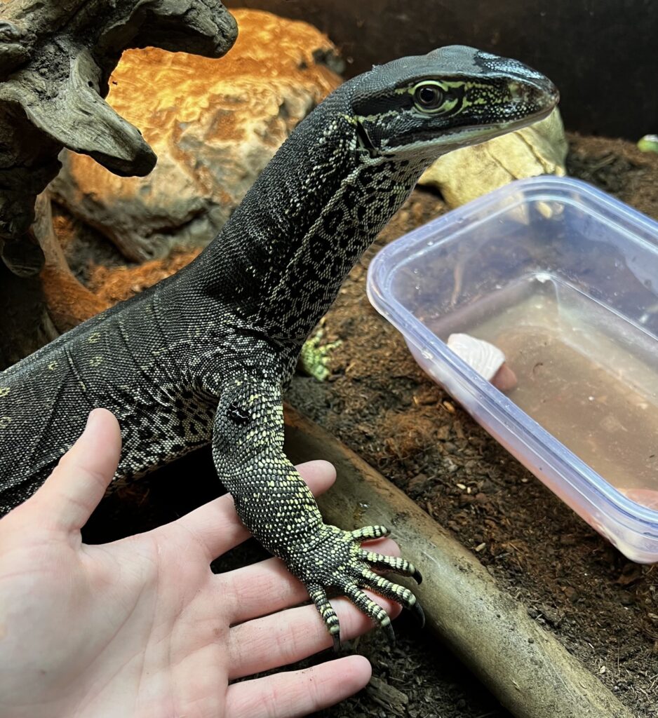 Foto: Garda de Mediu Bihor