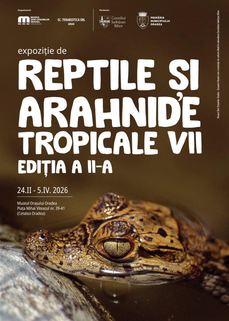 Reptile și arahnide tropicale vii, din nou, la Oradea. Expoziție inedită la Muzeul Orașului