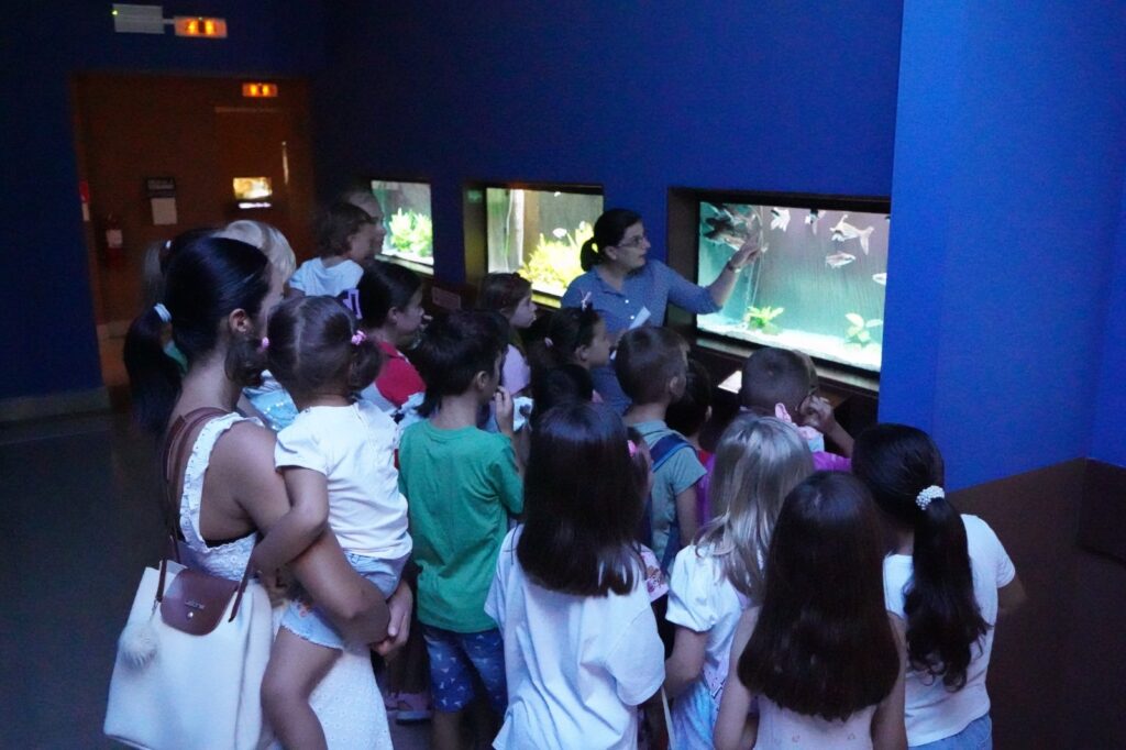 Foto: Muzeul Țării Crișurilor