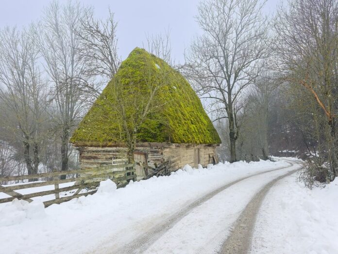 Foto: Sorin Onișor