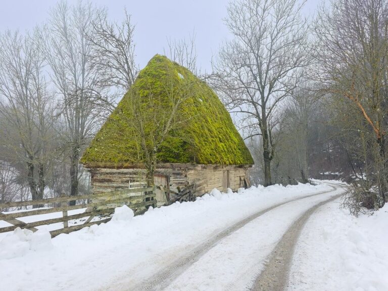 Foto: Sorin Onișor