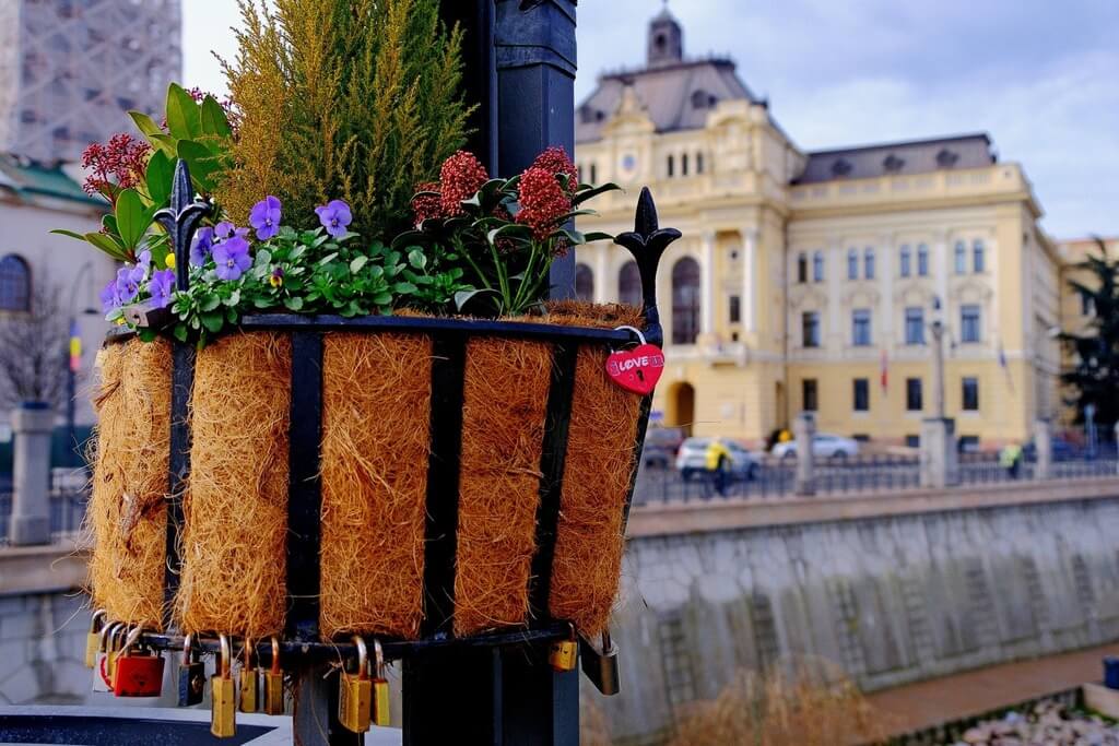 Imaginea zilei 10.02.2026