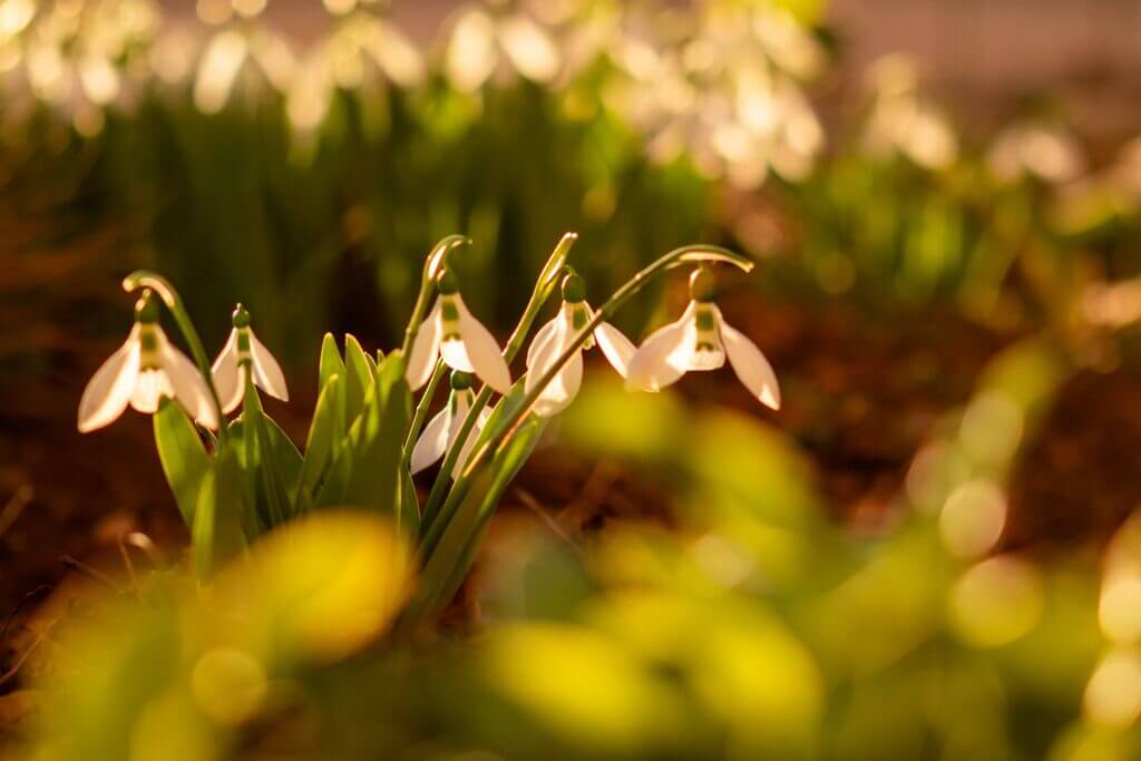 Imaginea zilei 12.02.2026