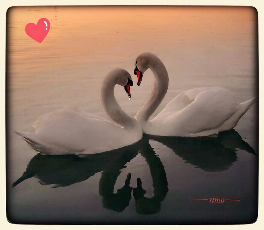 Imaginea zilei 15.02.2026