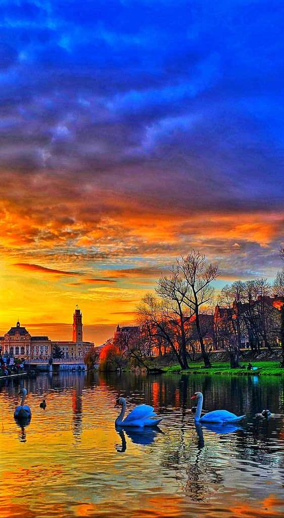 Imaginea zilei 20.02.2026