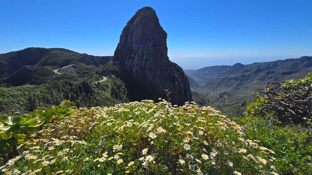 Imaginea zilei 21.02.2026