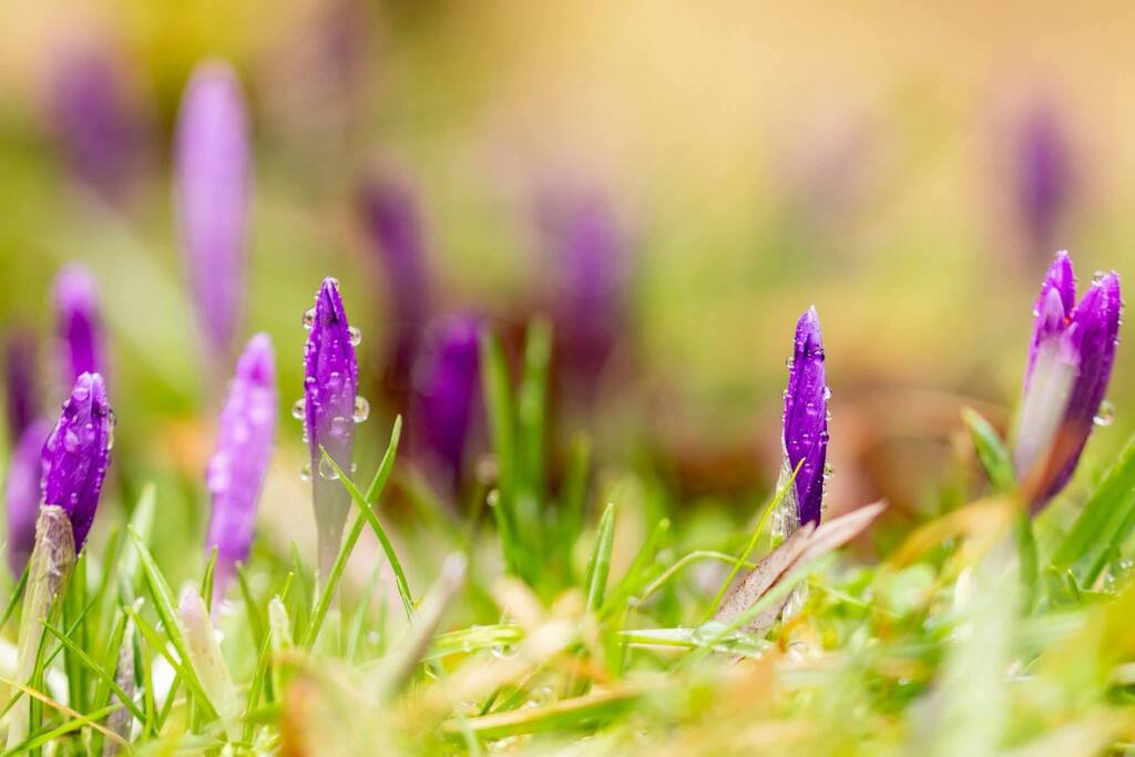 Imaginea zilei 23.02.2026