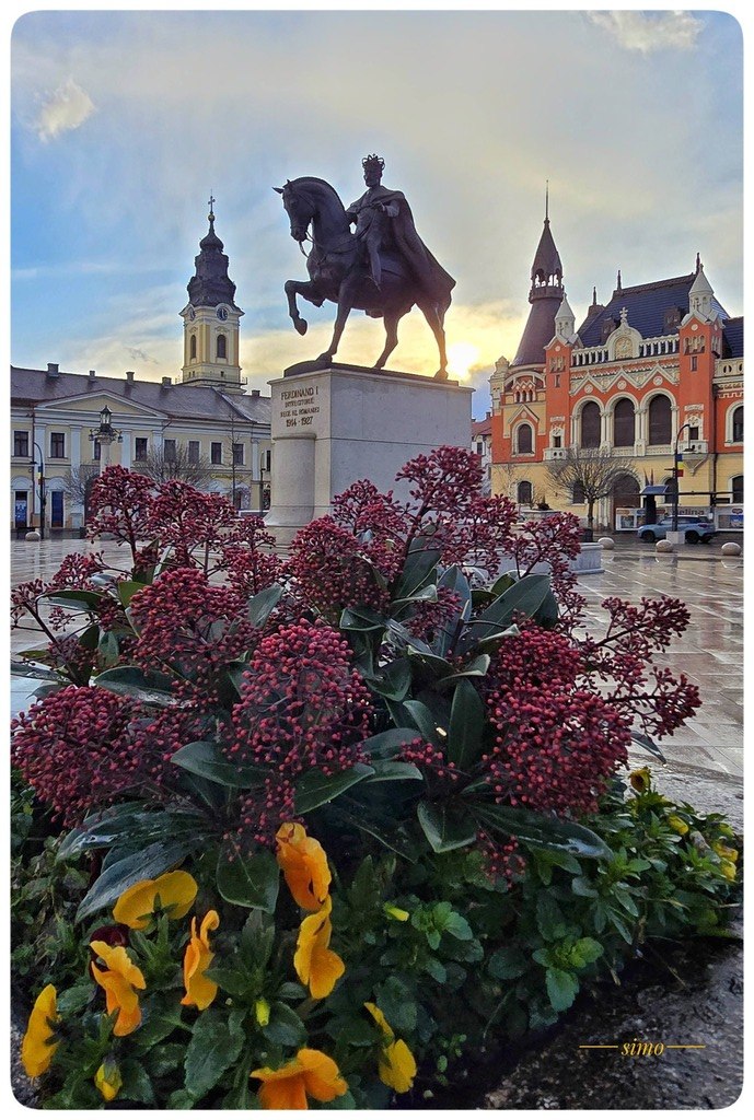 Imaginea zilei 26.02.2026