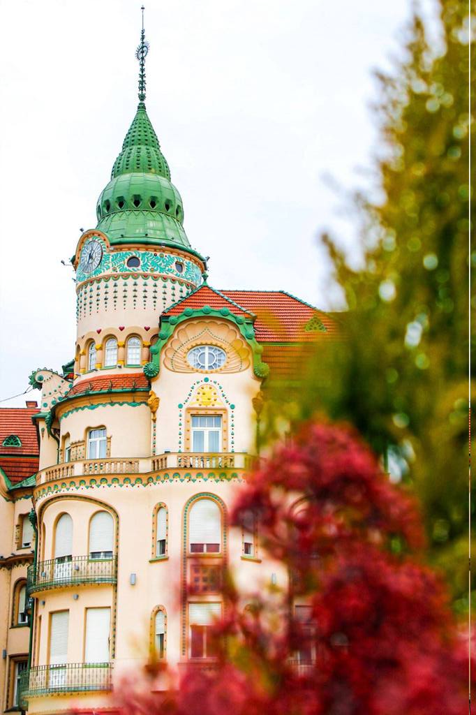 Imaginea zilei 28.02.2026