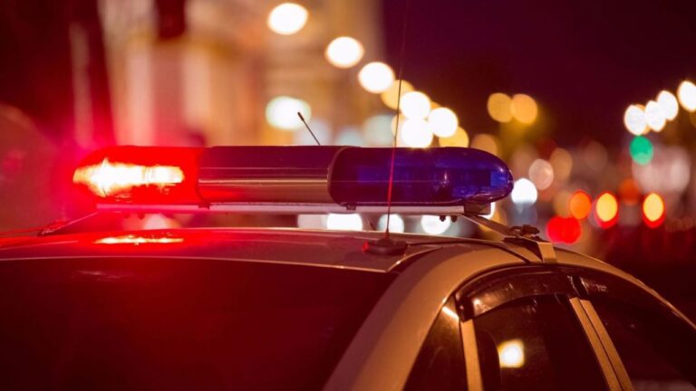 Mai mulți șoferi, depistați de polițiști în Bihor conducând sub influența alcoolului sau fără permis