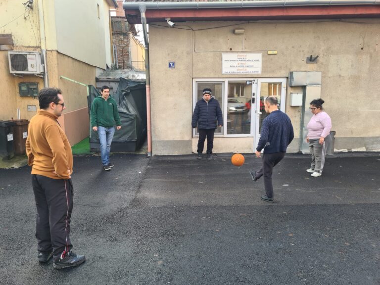 Asociația Alsterdorf caută voluntari care să sprijine persoanele cu dizabilități