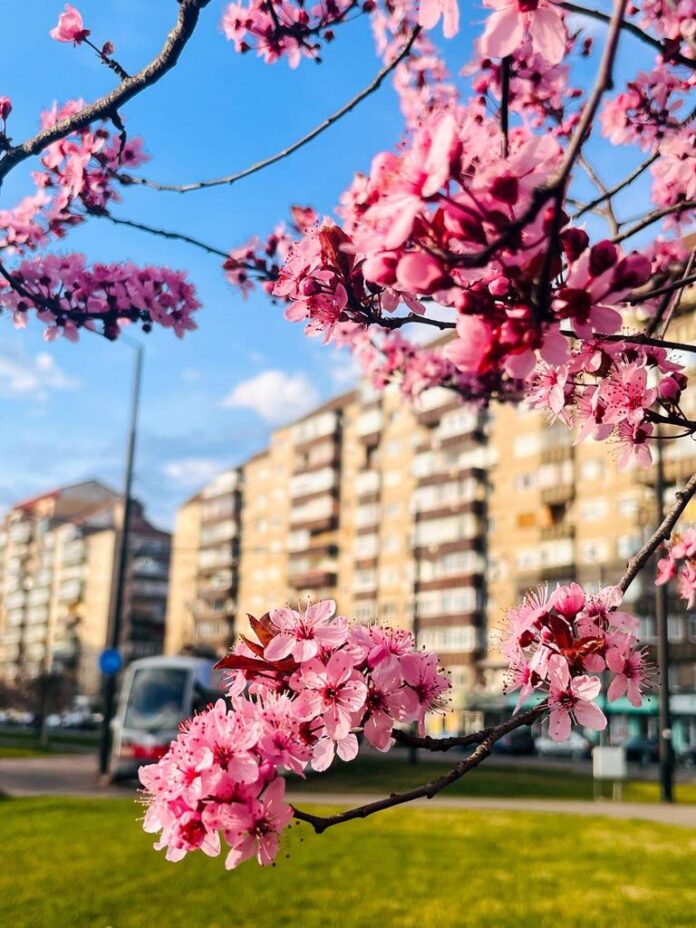 Foto: Mădălina Sturz